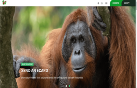 portfolio - Husein Putra Widya Pratama